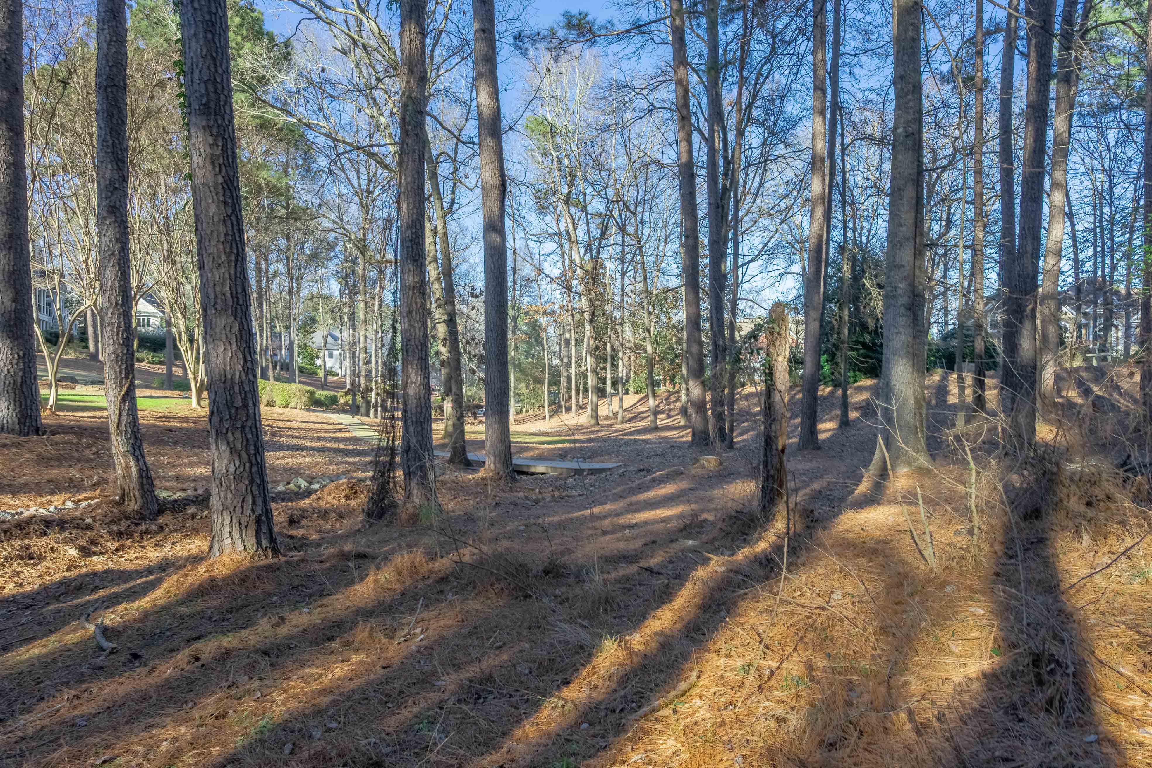 155 Barrington Hall Drive, NE image 8